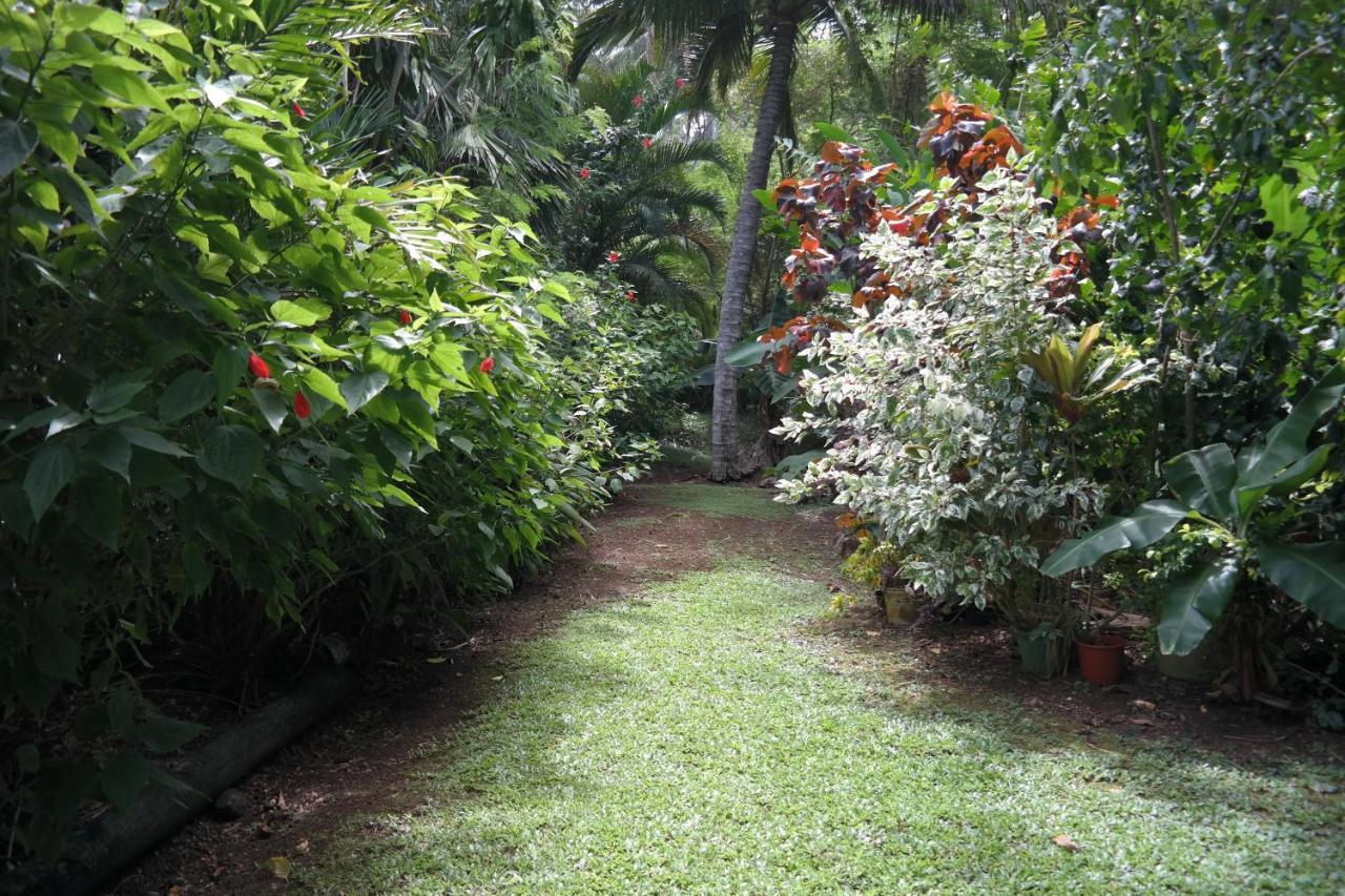 Muri Retreat Apartments Rarotonga Exteriör bild